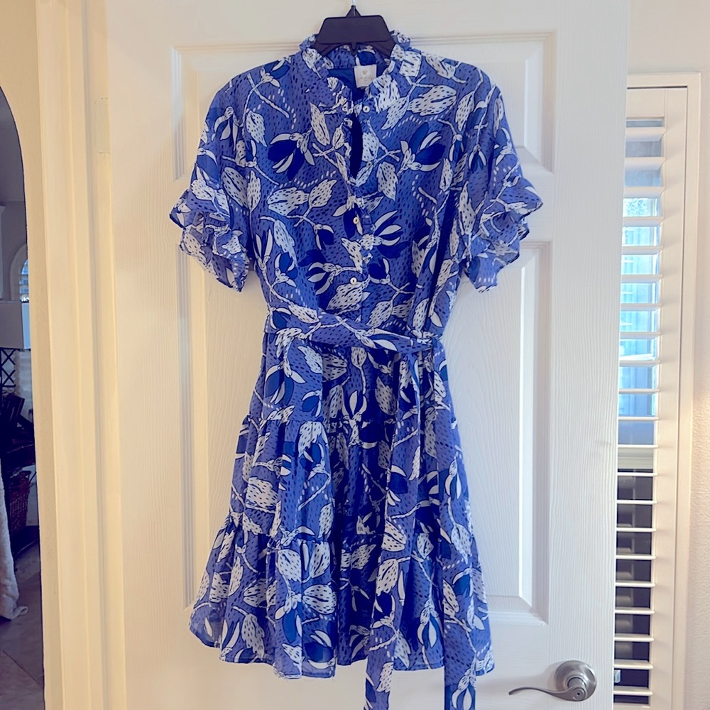 Darling button down flair dress